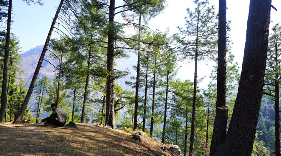 Kedarkantha Trek