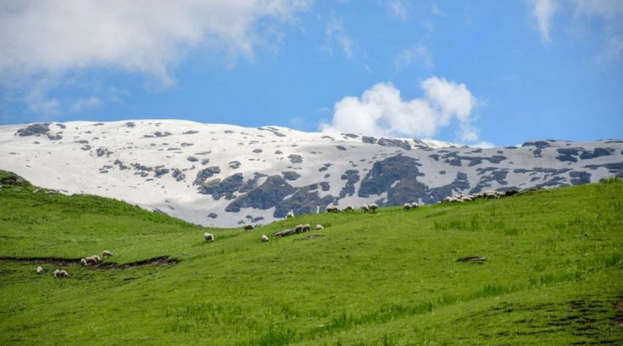 Bhrigu Lake Trek