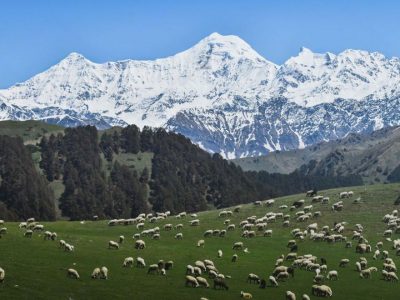 Dayara Bugyal Trek