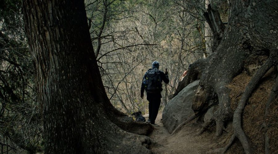 Kheerganga Trek