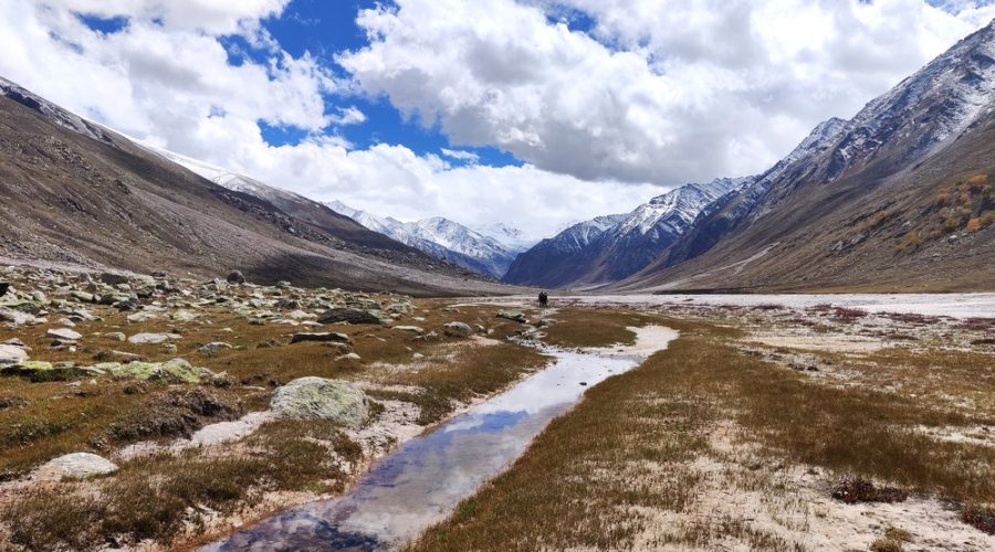 Miyar Valley Trek