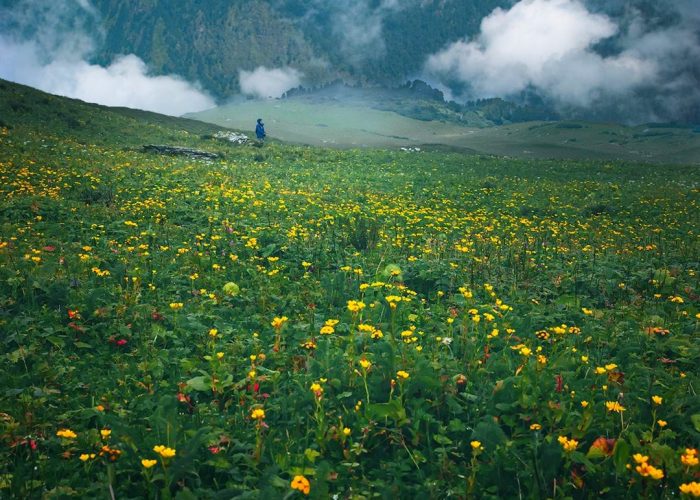 Gulabi Kantha Trek
