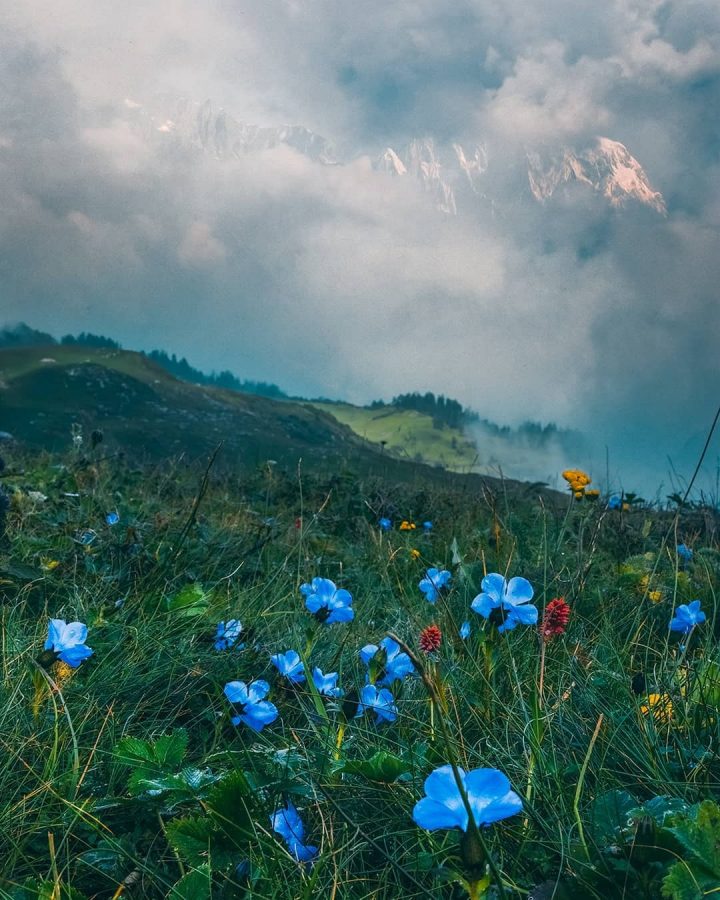 Gulabi Kantha Trek
