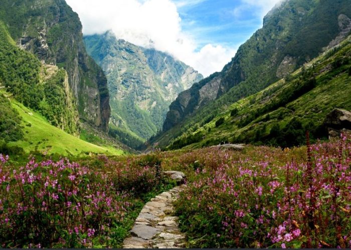 Valley of Flowers Trek - Advenchar